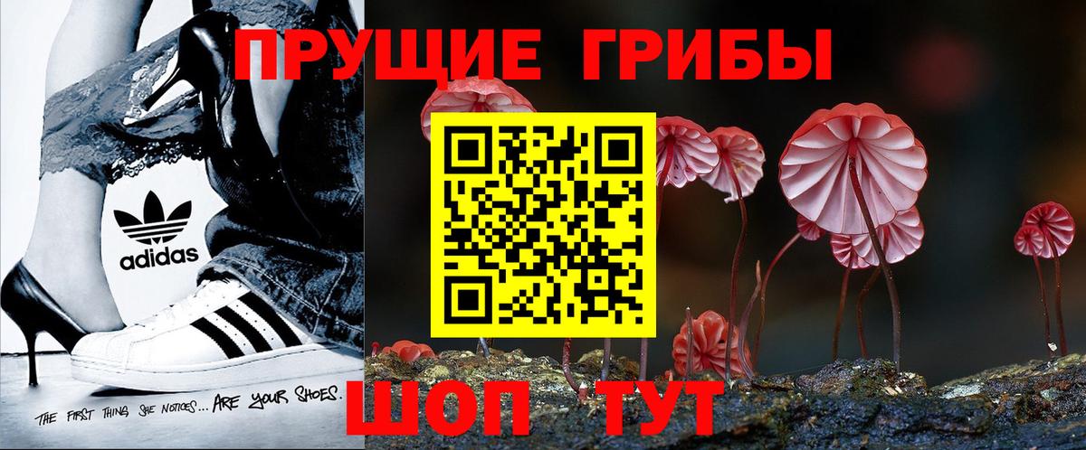 дарнет шоп  Вход с VPN  Алексеевка  Галлюциногенные грибы мицелий 